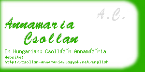 annamaria csollan business card